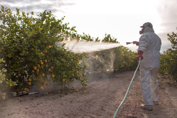 Insect Control in Niwot, CO